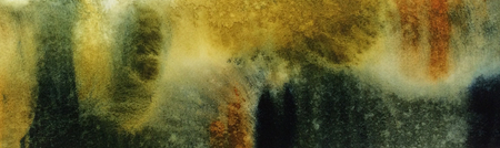 Essence of Light