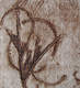 Nature Speaks 3/21